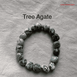 Tree Agate Tumbled Stone Bracelets