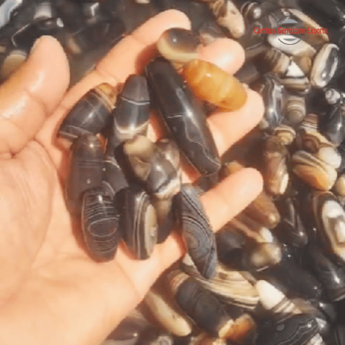 Black Banded Onyx Sulemani