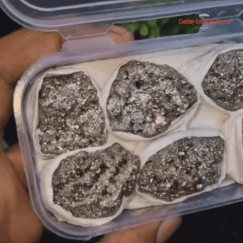 Natural Pyrite Clusters Gift Box