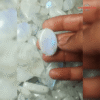 White Rainbow Cabs 1