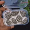 Natural Pyrite Clusters Gift Box