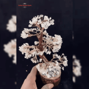New-Project-2-1-4.png Original Gem Tree 300 Chips #7