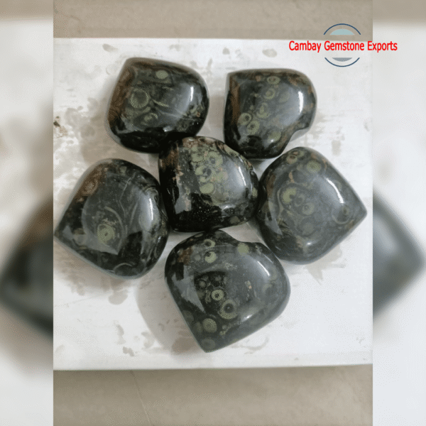 Natural Kambaba Jasper Gemstone Dazzling Heart Shape Briolette Gemstone