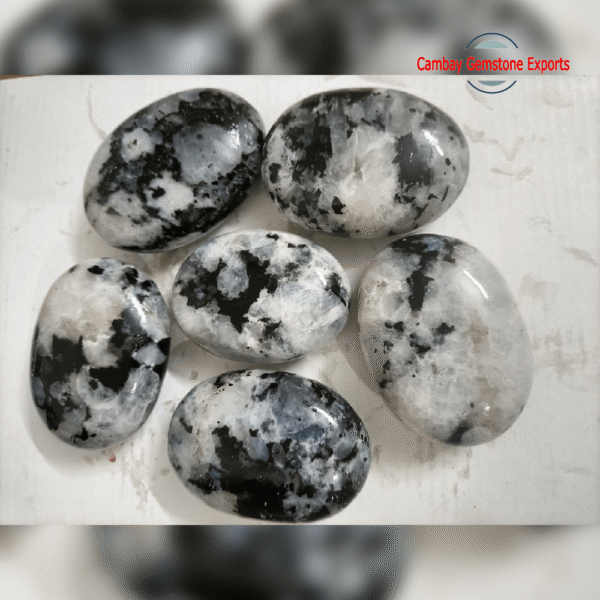 PALM STONES