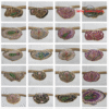 PAINTING PENDANTS