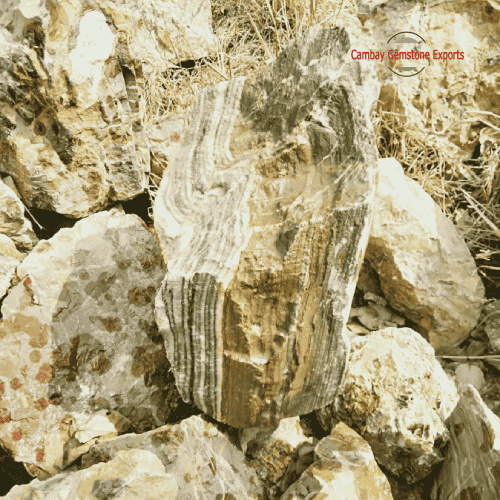 Indian Agate Fancy Zebra Tiger Rough Stone