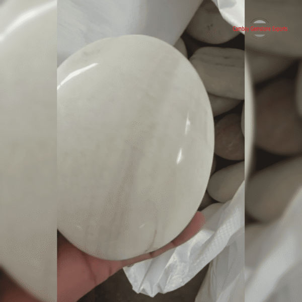 River Flat Pebbles in Containers #1 - Image 2