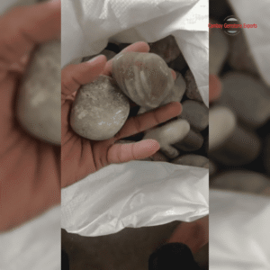 River Flat Pebbles in Containers #6