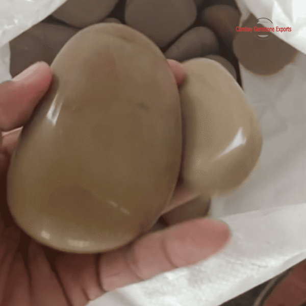 River Flat Pebbles in Containers #2