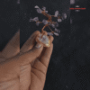 20 Chips Gem Baby Tree #1