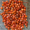 Bulk Red Carnelian Tumbled Stones