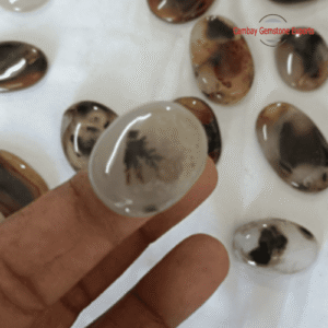 Tree Natural Cabochon Stones #4