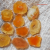 Yellow Agate Slices – Premium 1" to 2" Crystals