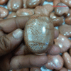AAA Quality Moonstone Palmstones