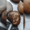 Picture Agate Pebbles