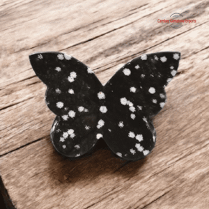 Butterfly Stones #9
