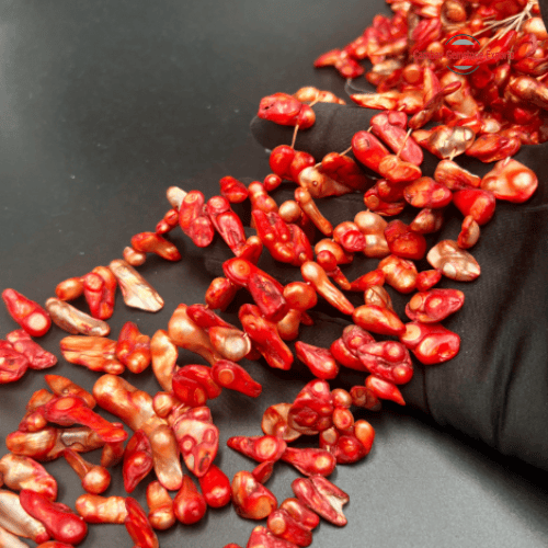 15" Length Biwa Pearls #12