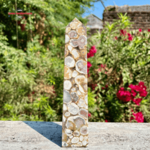 Screenshot 2025-10-22 044108 Natural Druzy Obelisk Point #13