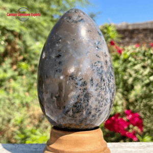 Screenshot 2025-10-22 044718 Natural Druzy Egg #62