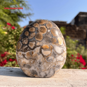 Screenshot 2025-10-22 044723 Natural Druzy Egg #63