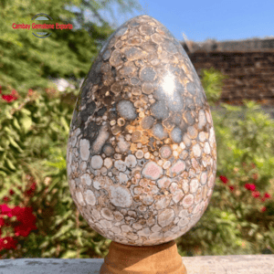 Screenshot 2025-10-22 044757 Natural Druzy Egg #68