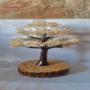 WhatsApp Image 2025-11-06 at 8.53.49 AM 5