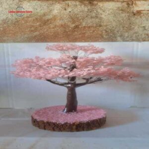 WhatsApp Image 2025-11-06 at 8.53.50 AM (1) 4