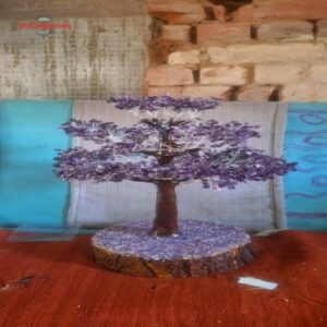 WhatsApp Image 2025-11-06 at 8.53.51 AM (1) 2