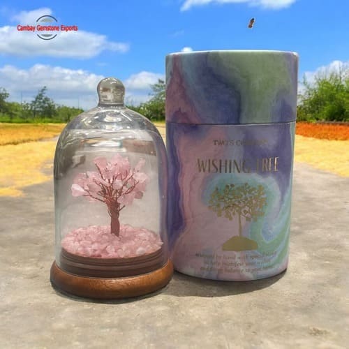 WhatsApp Image 2025-11-06 at 9.09.22 AM Crystal Wishing tree bottle